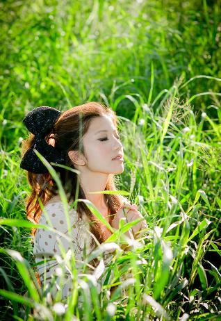 树影迷宫电视剧免费高清观看全集